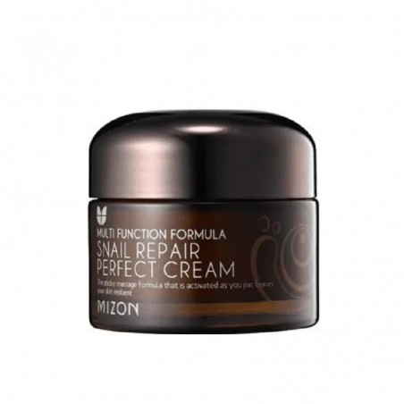 Mizon Snail Repair Perfect kremas 50ml