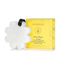 Spongelle Boxed White Flower Honey Blossom parfumuota kempinė 1 vnt