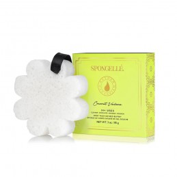 Spongelle Boxed White Flower Coconut Verbena parfumuota kempinė 1 vnt