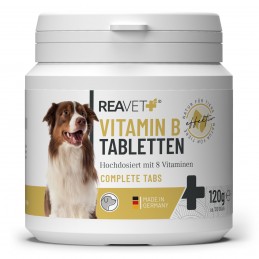 ReaVET vitamino B komplekso tabletės šunims 120vnt