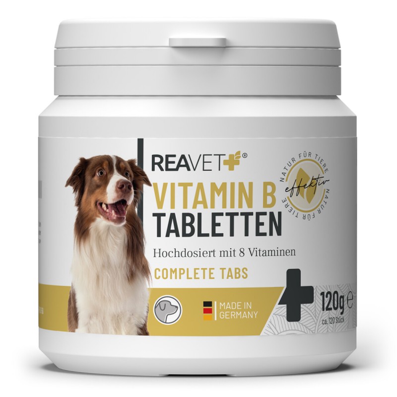 ReaVET vitamino B komplekso tabletės šunims 120vnt