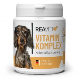 ReaVET vitaminų kompleksas šunims ir katėms milteliai 100g