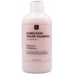 Šampūnas dažytiems plaukams Blautty Moisturizer 250 ml